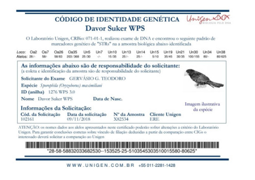 Davor Suker RF