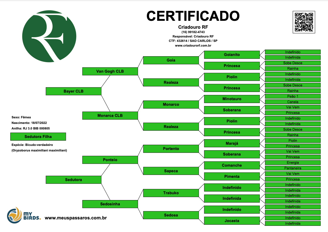 Captura-de-Tela-2023-01-13-a-s-08-11-20.png (168 KB)
